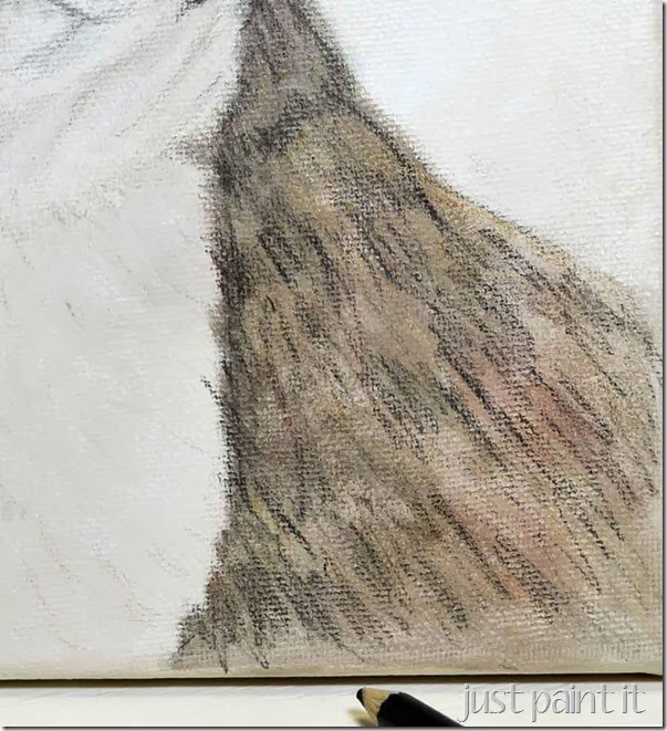 boston-terrier-sketch-J
