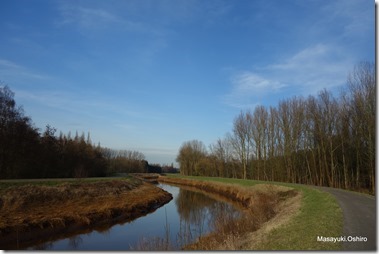 37-DSC06569
