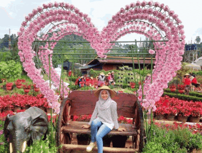 Taman Bunga Begonia