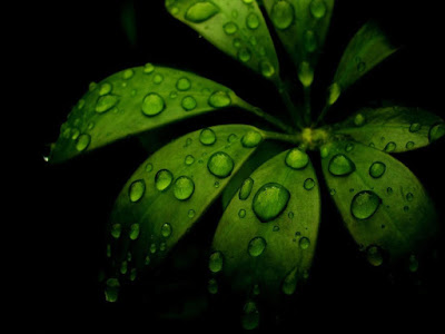Beautiful Rain -HD Wallpaper-06