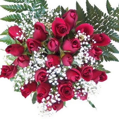 gift roses on valentine's day