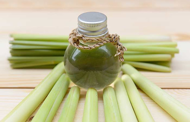 Lemongrass Essential Oil