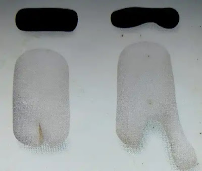 image of body parts of dog