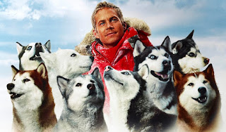 eight below