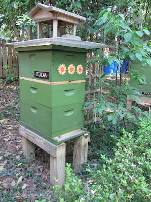 bee, beekeeping, division board feeder, feeder, pail feeder, pollen, split, swarm control, 