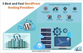 Why shared WordPress hosting is the best option for new blogs