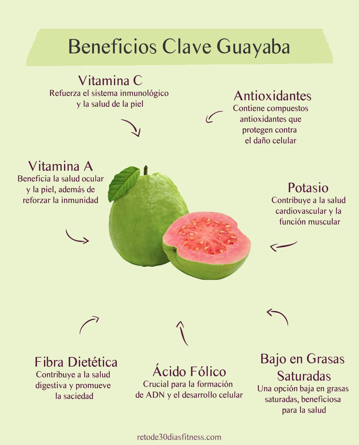 Infografía: Beneficios de la guayaba