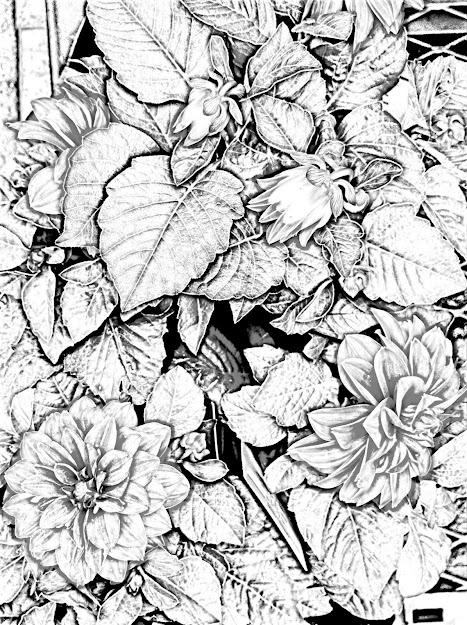 Free Printable Detailed Coloring Pages Best Image  Umiddot