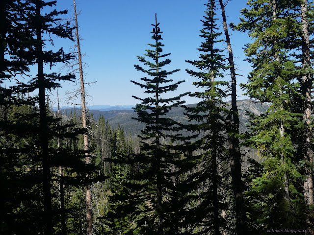 040: near trees obscrue but do not block view of other ridges