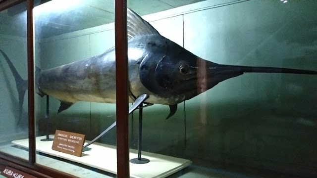 ikan