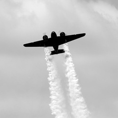 DSC_7334