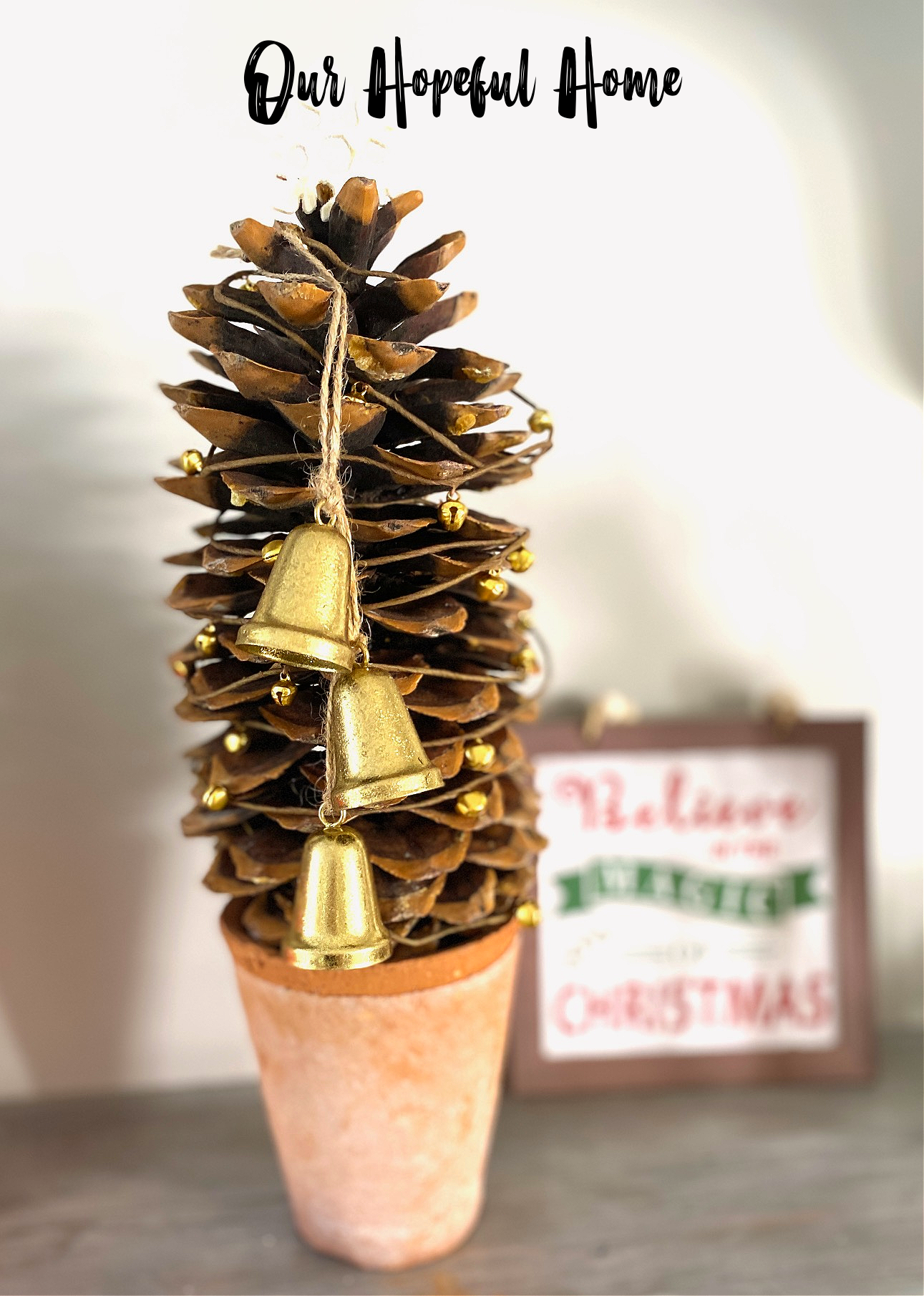 Our Hopeful Home: DIY Rustic Sugar Pine Cone Christmas Trees