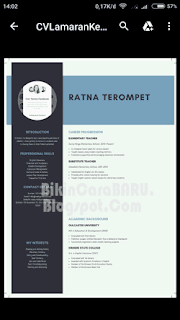 contoh CV pdf yang menarik