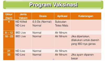 program vaksin ayam