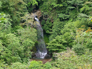 Waterfall Jungle Lake Wallpaper JPG