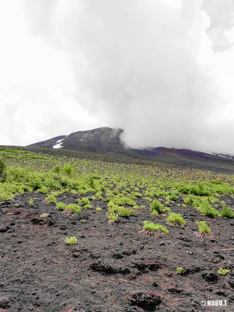 富士山・お中道からの景色