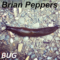 Brian Peppers - Bug (B.S.R. 2011)