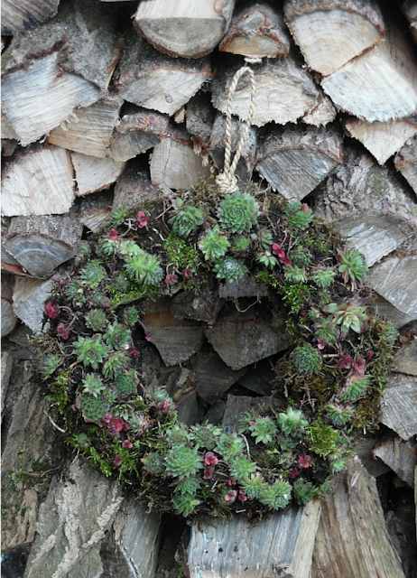 diy succulent wreath tutorial