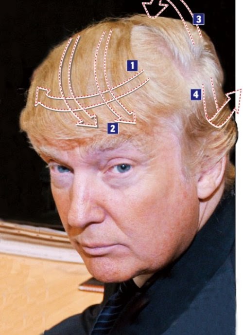 donald trump house in florida. donald trump home in florida. donald trump house in florida.