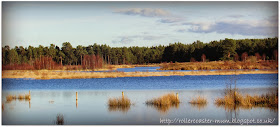 Flooded fields in the sunshine