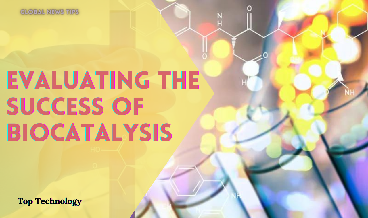 Evaluating the Success of Biocatalysis
