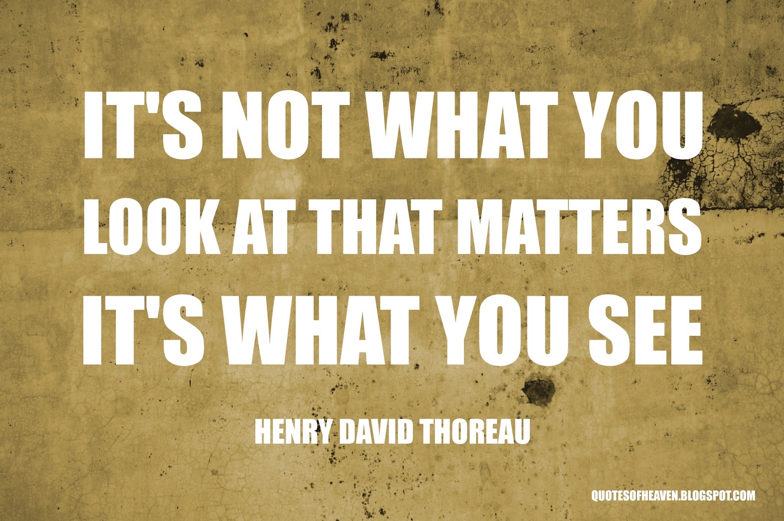 “It s not what you look at that matters it s what you see ” Henry David Thoreau