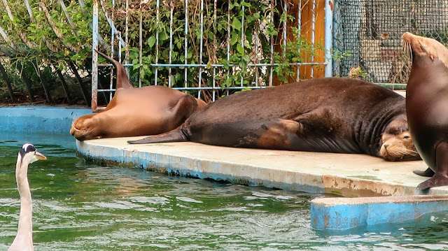 天王寺動物園 大阪