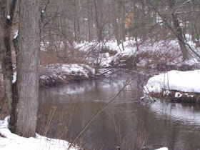 Little South Branch of the Pere Marquette River