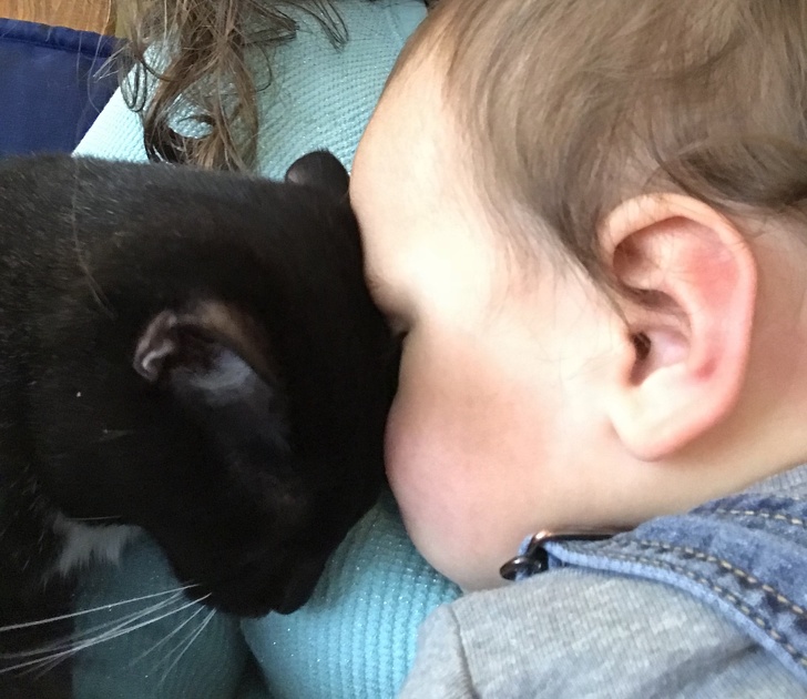 23 Heartwarming Pictures That Show The Beautiful Bond Between Children And Animals