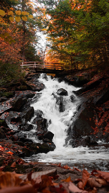 Autumn, Waterfall, Bridge, Rocks