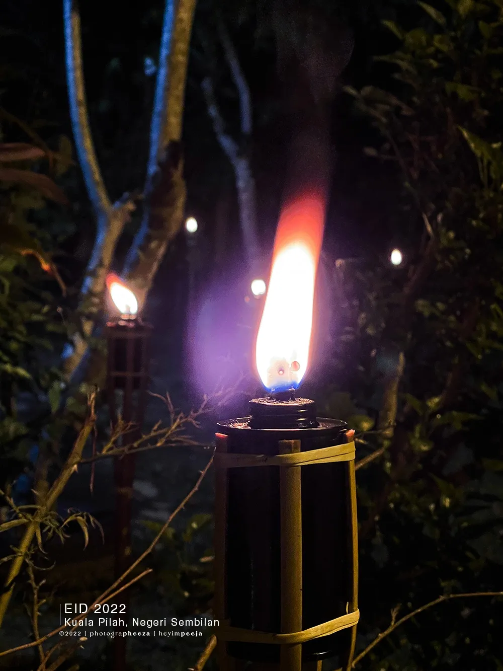 Pelita Raya