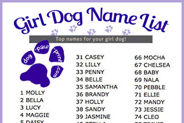 cute names for black puppies girl Girl puppy names