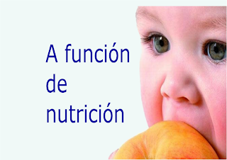 https://www.edu.xunta.es/espazoAbalar/sites/espazoAbalar/files/datos/1363076643/contido/nutricion_nutrition/funcion_nutricion_4.html