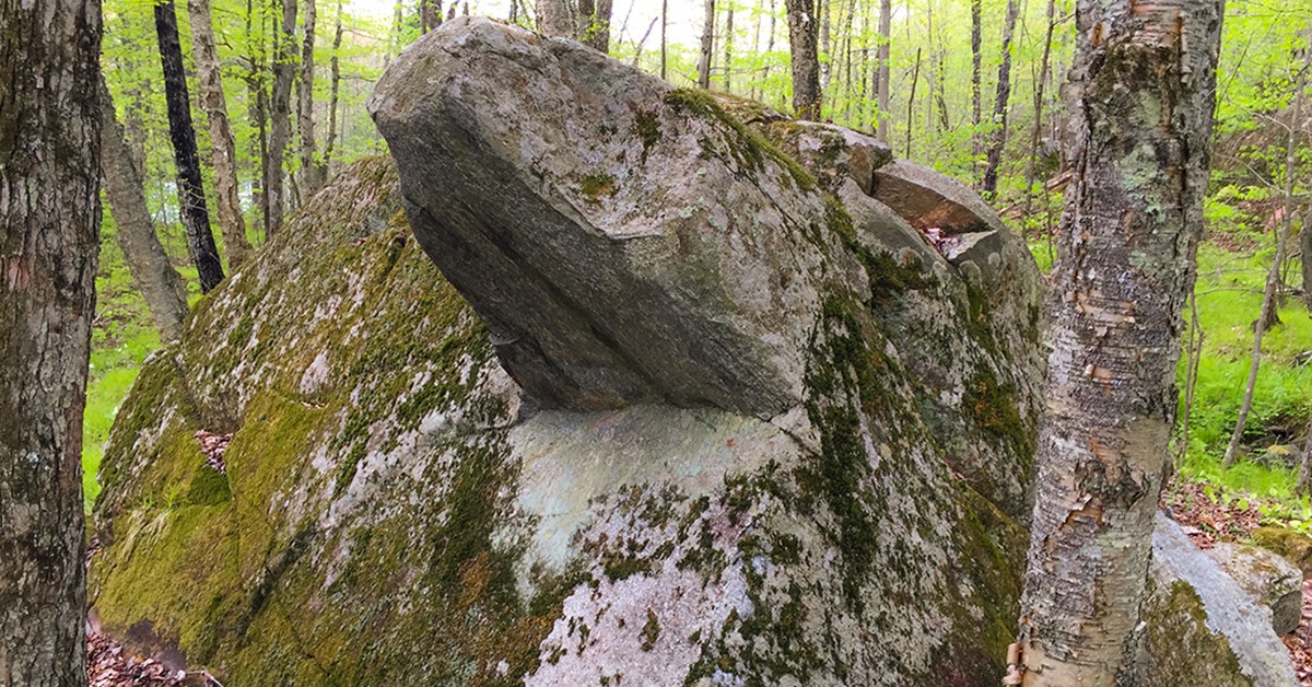 Trail Banner