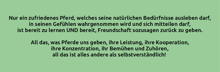 Blog Von Wwwfühlend Reitende Freundschaft Braucht