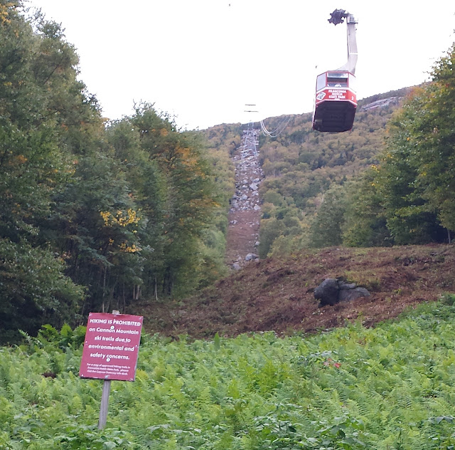 Cannon, Cannon Gondola, Cannon Mountain, Cannon Mt., Cannon Tram, Cannon Tramline, DJ's Tramline, extreme hiking, Franconia notch, franconia notch state park, hiking is prohibited, prohibited hikes, 