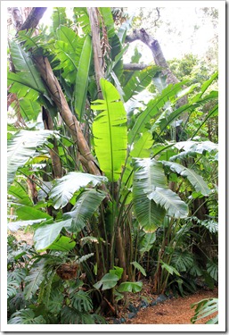 130403_Lotusland_030