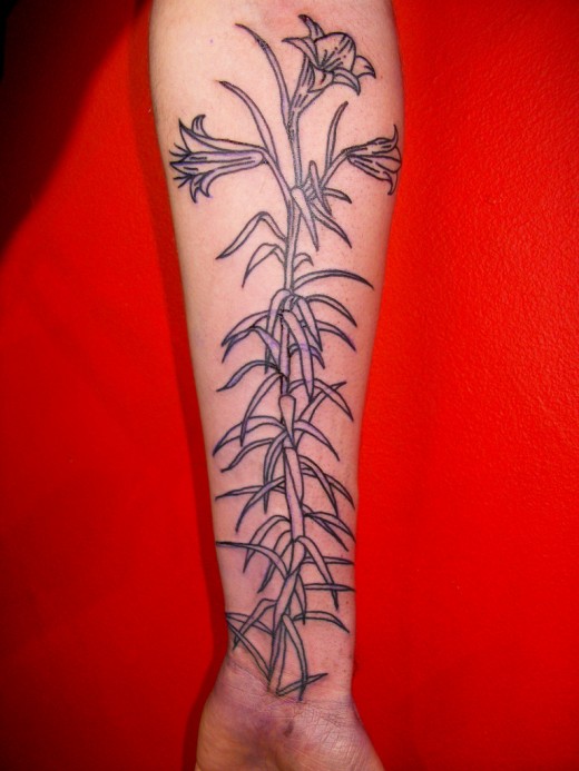 Cool Forearm Tattoo Designs Collection of 201112