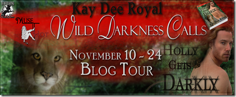 Holly Gets Darkly Banner 851 x 315