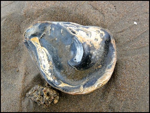 on beach 2