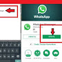 Cara memperbarui WhatsApp di Android,iPhone dan Windows Terbaru