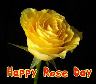 1. Happy Rose Day Pictures 2014- White,pink Red Rose Images