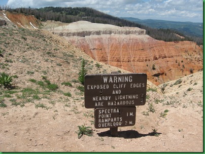 Bristle Cones at Cedar Breaks 040