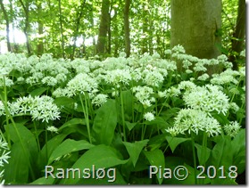 P1150575