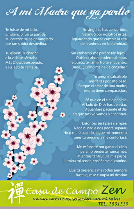 VoluntarioSinFronteras -Proyectos de Apoyo Humano 