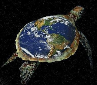 Space Turtle