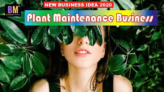 How to start Plant Mainten Business, #plantmaintain, #indoorplantbusiness, business ideas, business mantra, mk majumdar, mk mazumdar, maanoj mantra