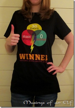 NaNo Winner's Shirt