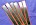 Momod ads.id