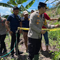 Kapolres Enrekang Mendatangi TKP Ditemukannya Tanaman Ganja